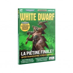 White Dwarf n°489